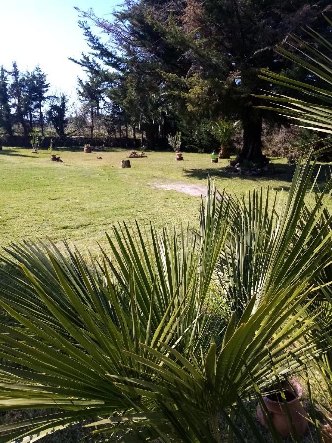 Bed and Breakfast Mamena Paestum Zewnętrze zdjęcie