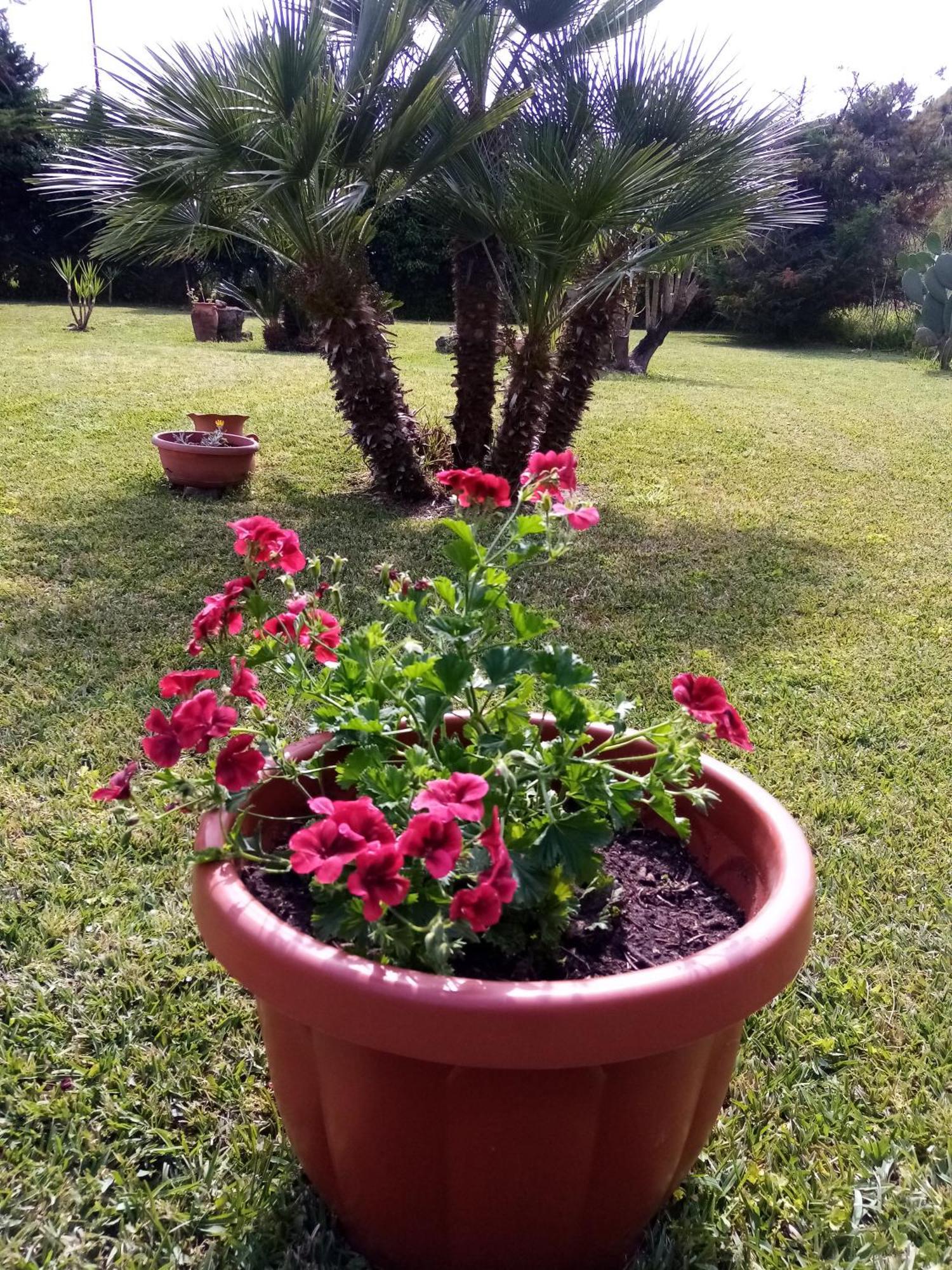 Bed and Breakfast Mamena Paestum Zewnętrze zdjęcie