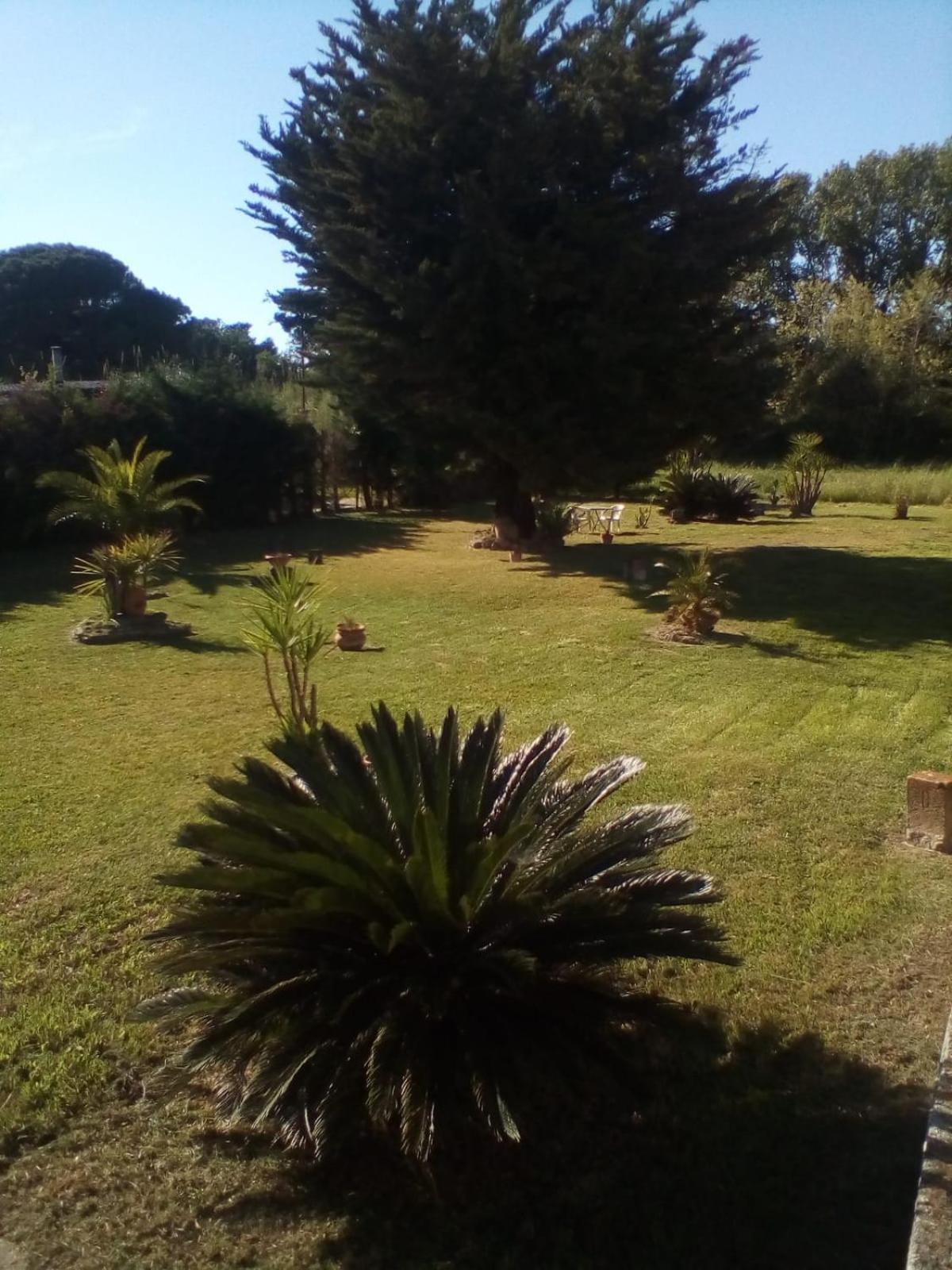 Bed and Breakfast Mamena Paestum Zewnętrze zdjęcie